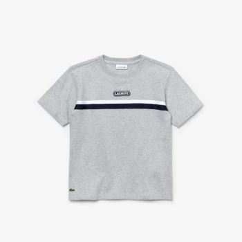 Lacoste Crew Neck Two-Tone Band Cotton T-shirt Dětské - Tričko Šedé / Bílé / Tmavě Blankyt Blankyt |